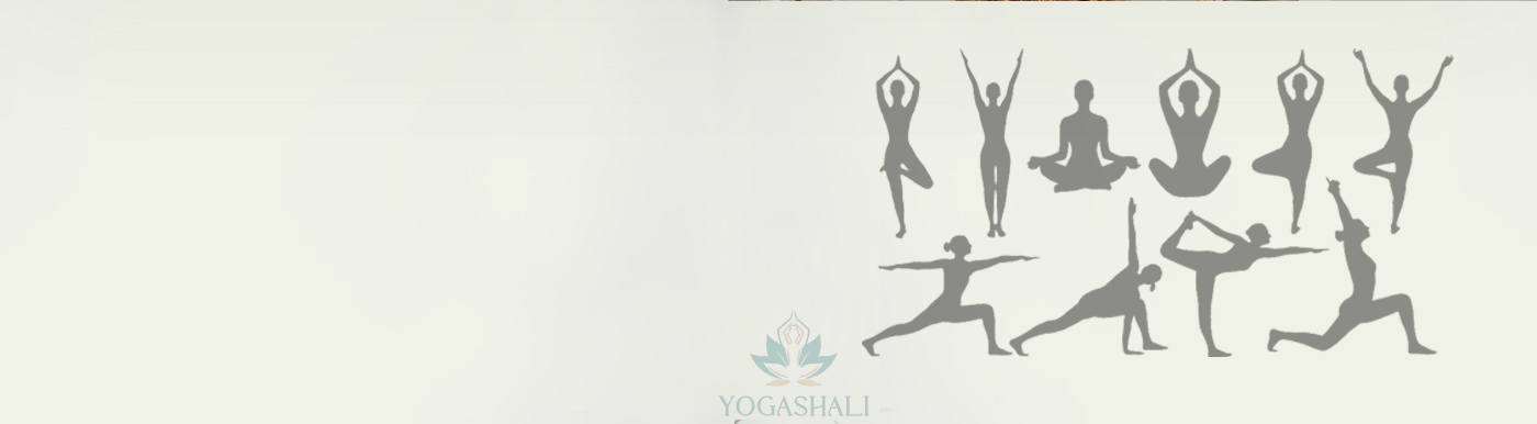 Welcome to Yogashali